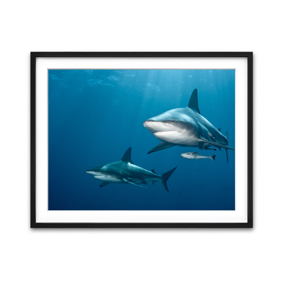 Framed Print 4x3 Black