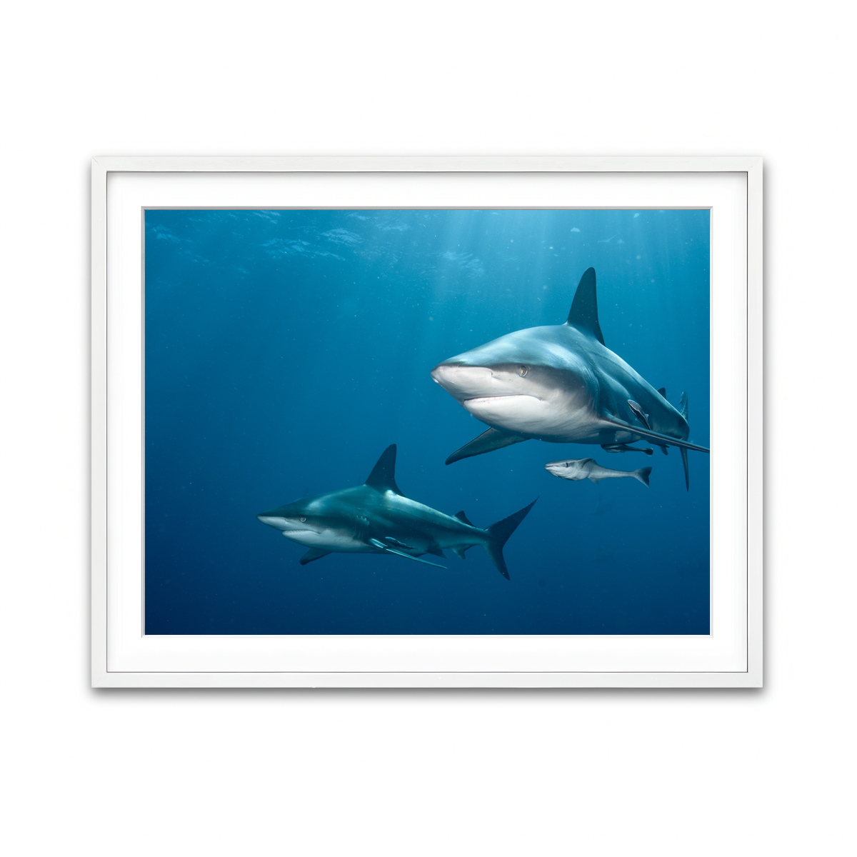 Framed Print 4x3 White