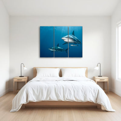 AUTO-MOCKUP ROOM | Shark Pair