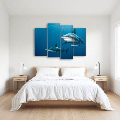 AUTO-MOCKUP ROOM | Shark Pair