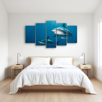 AUTO-MOCKUP ROOM | Shark Pair