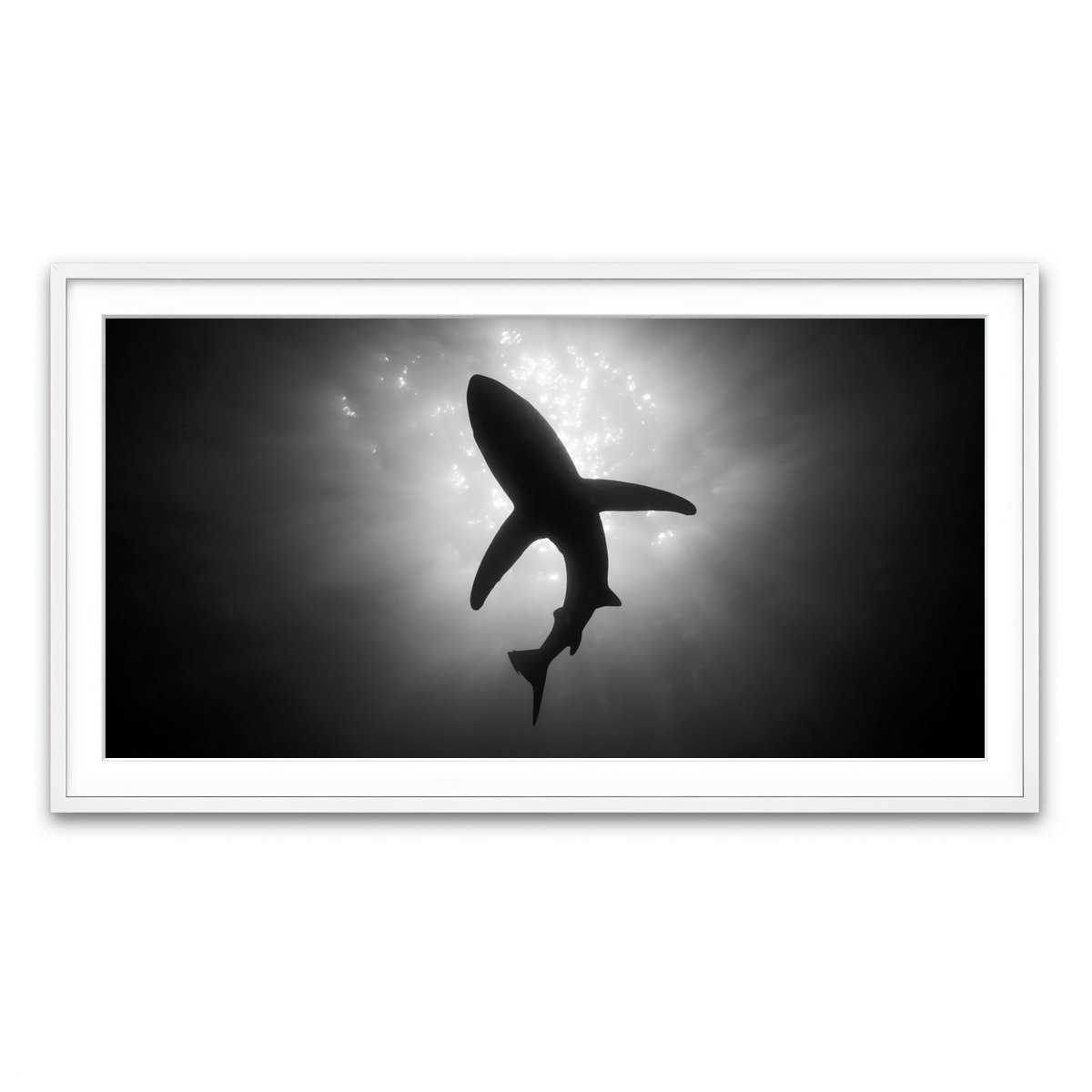 Framed Print 2x1 White