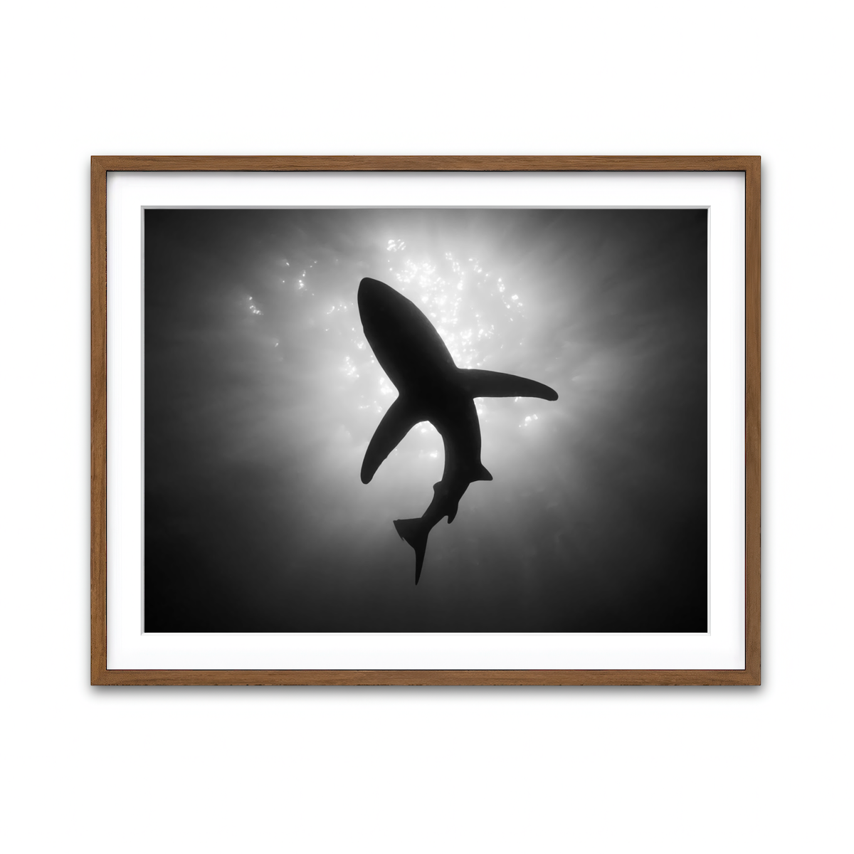 Framed Print 4x3 Walnut