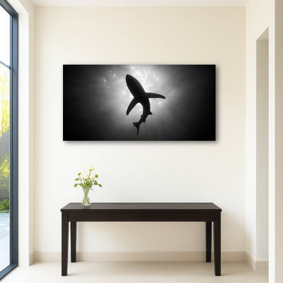 AUTO-MOCKUP ROOM | Shark Silhouette