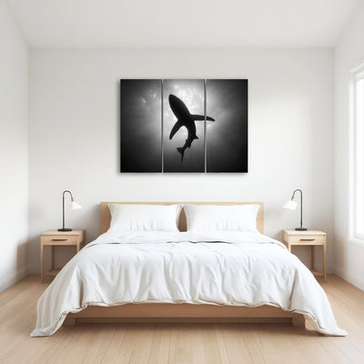 AUTO-MOCKUP ROOM | Shark Silhouette