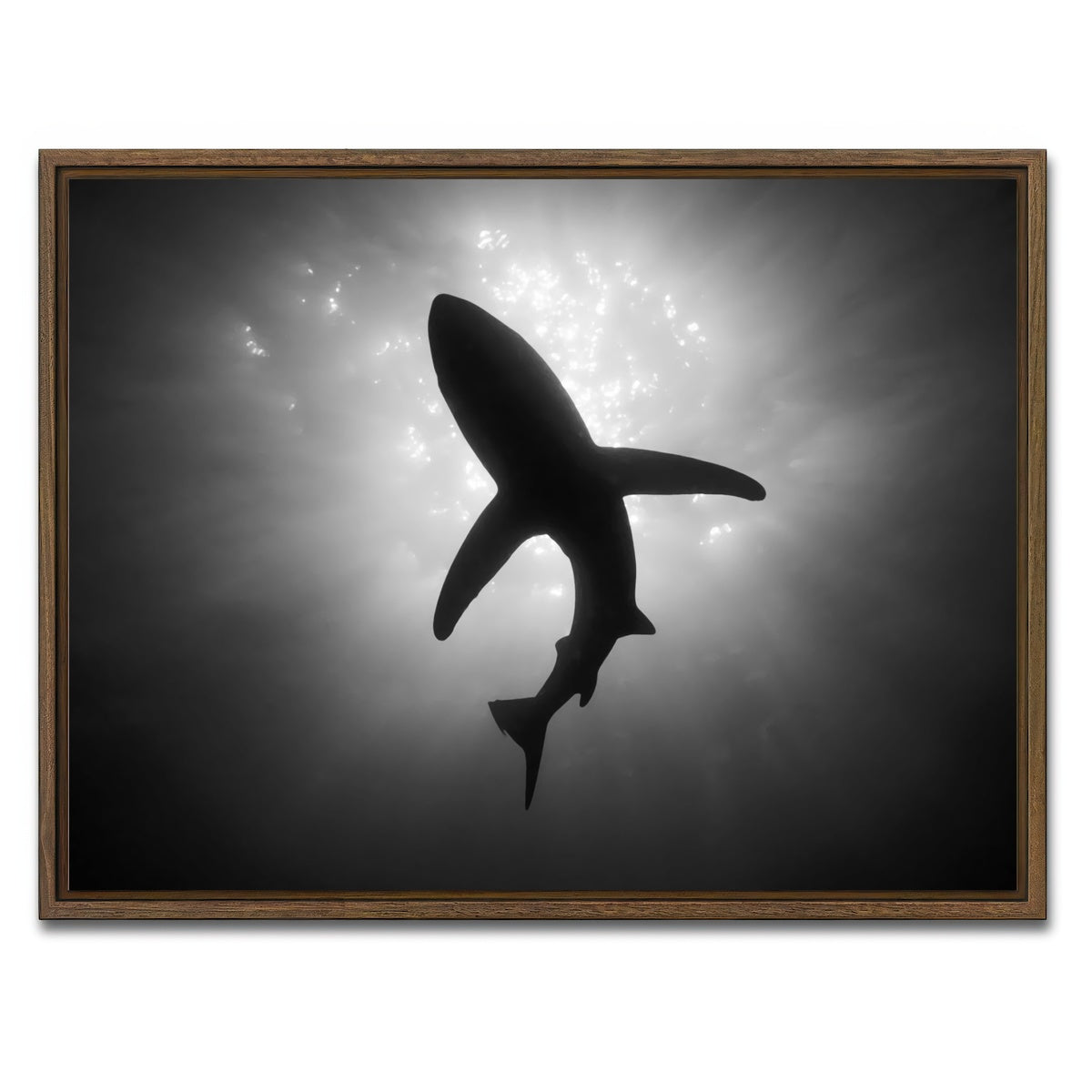 AUTO-MOCKUP WHITE | Shark Silhouette | 1 Piece | Walnut Framed Canvas | group=4x3
