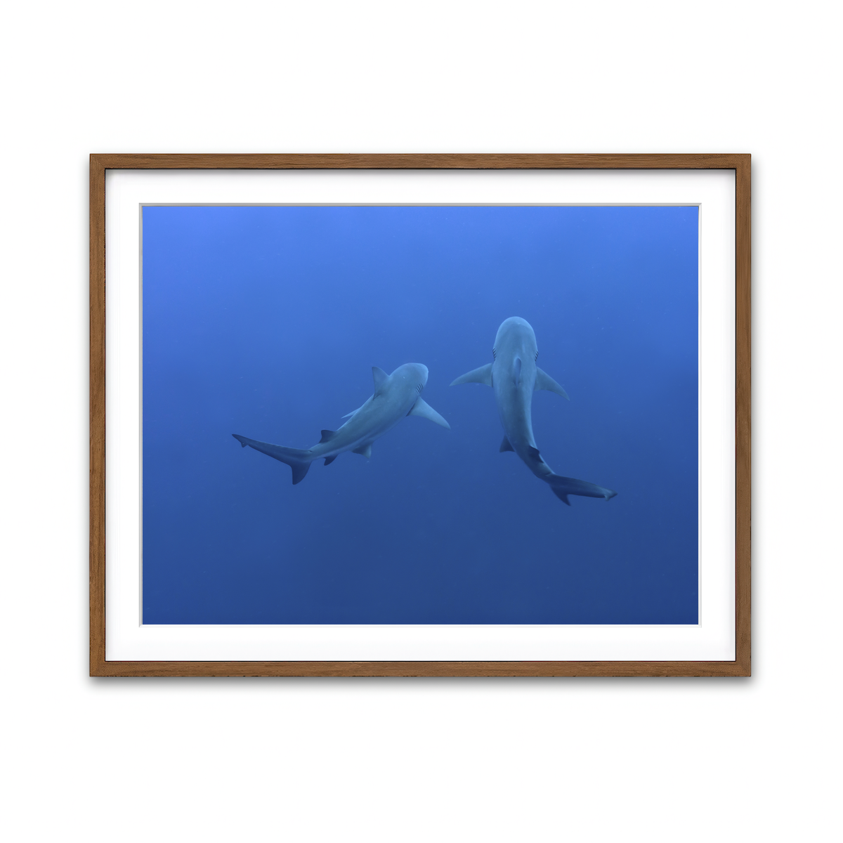 Framed Print 4x3 Walnut