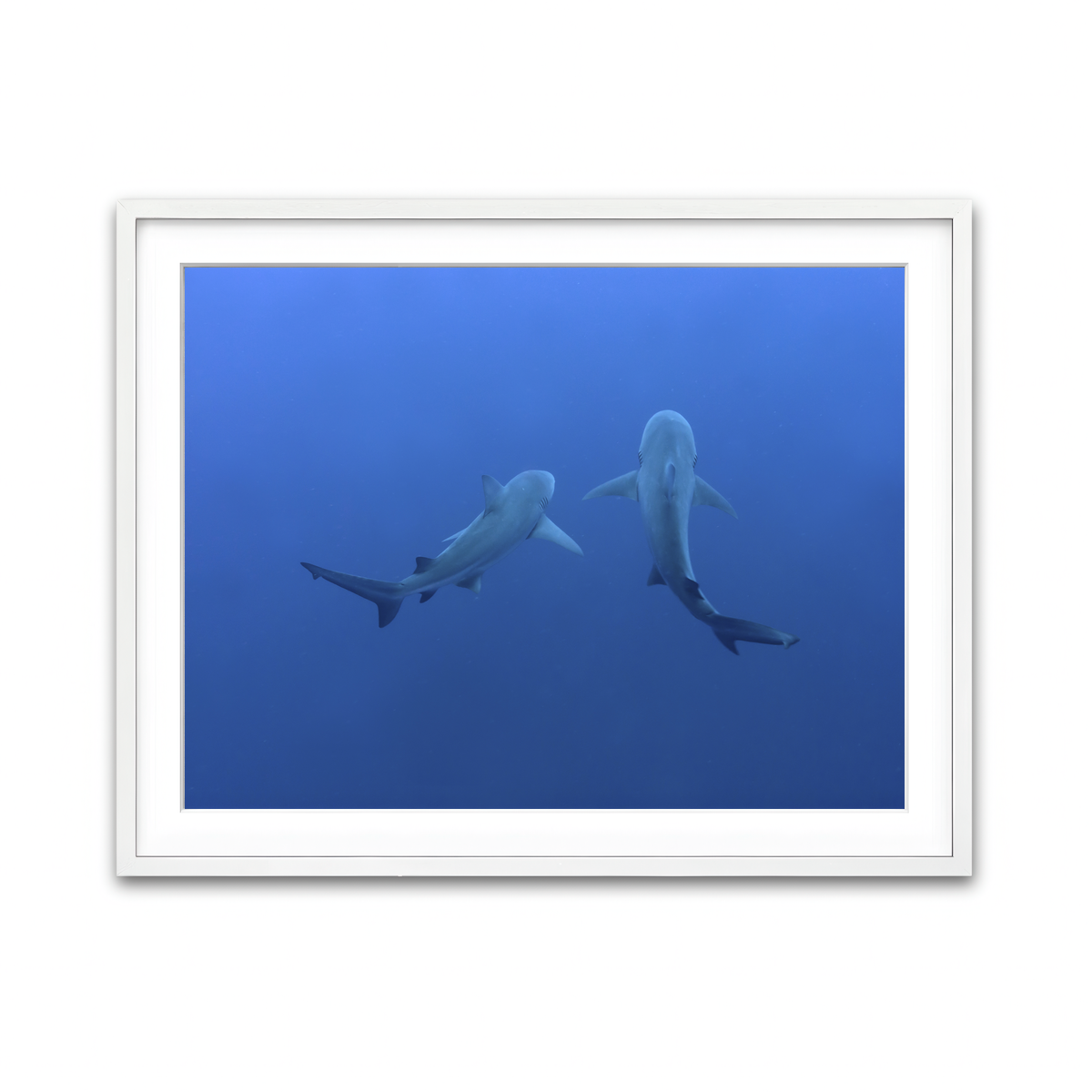 Framed Print 4x3 White