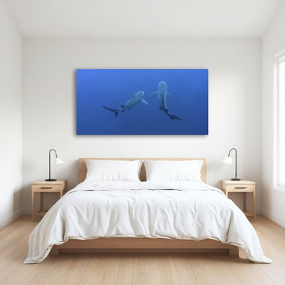AUTO-MOCKUP ROOM | Shark mates