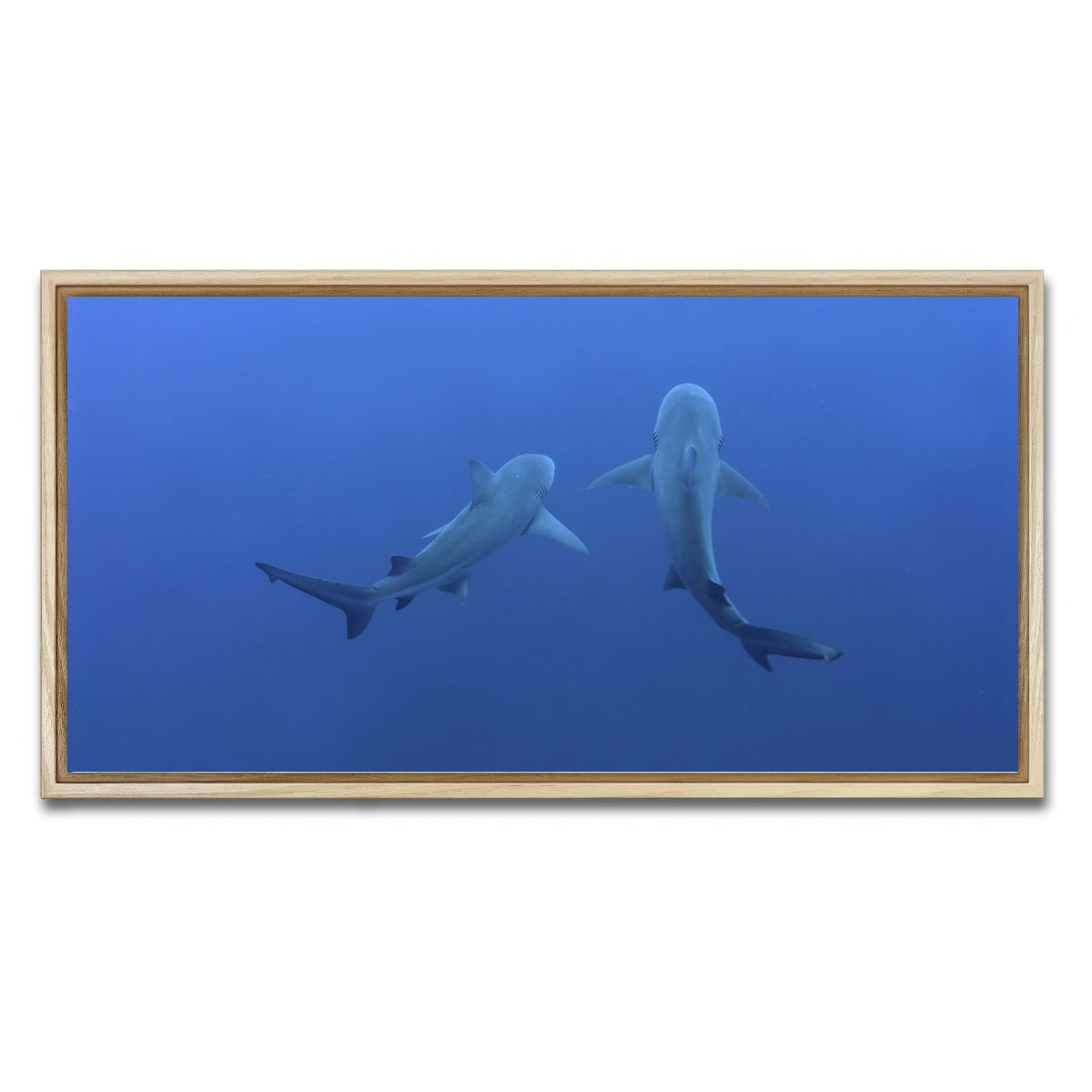 AUTO-MOCKUP WHITE | Shark mates | 1 Piece | Natural Framed Canvas | group=2x1