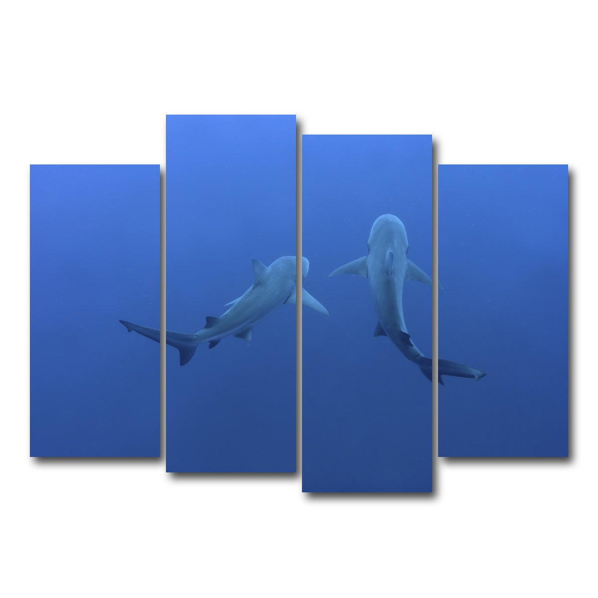 AUTO-MOCKUP WHITE | Shark mates | 4 Piece | Gallery Wrap Canvas | group=4_normal