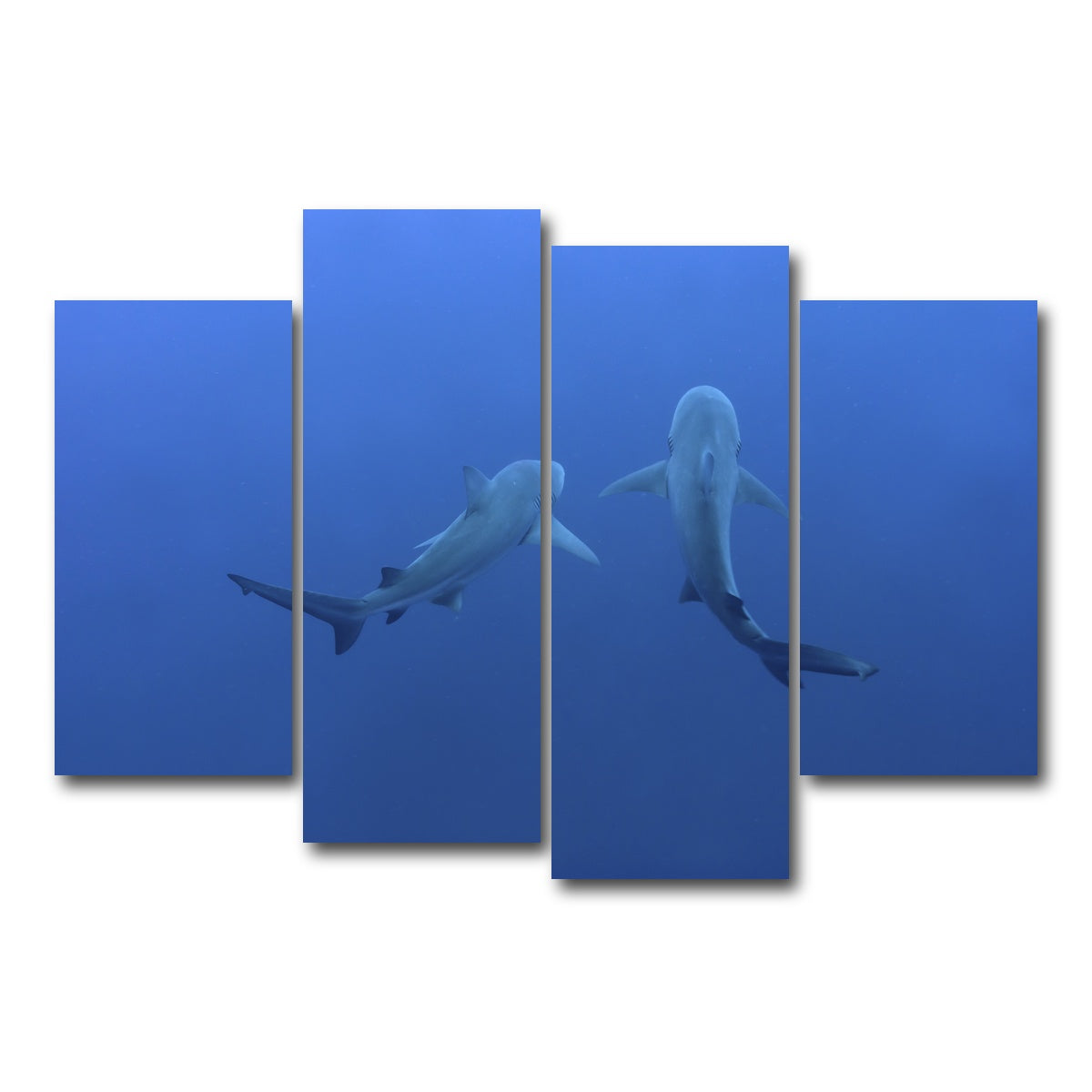 AUTO-MOCKUP WHITE | Shark mates | 4 Piece | Gallery Wrap Canvas | group=4_short