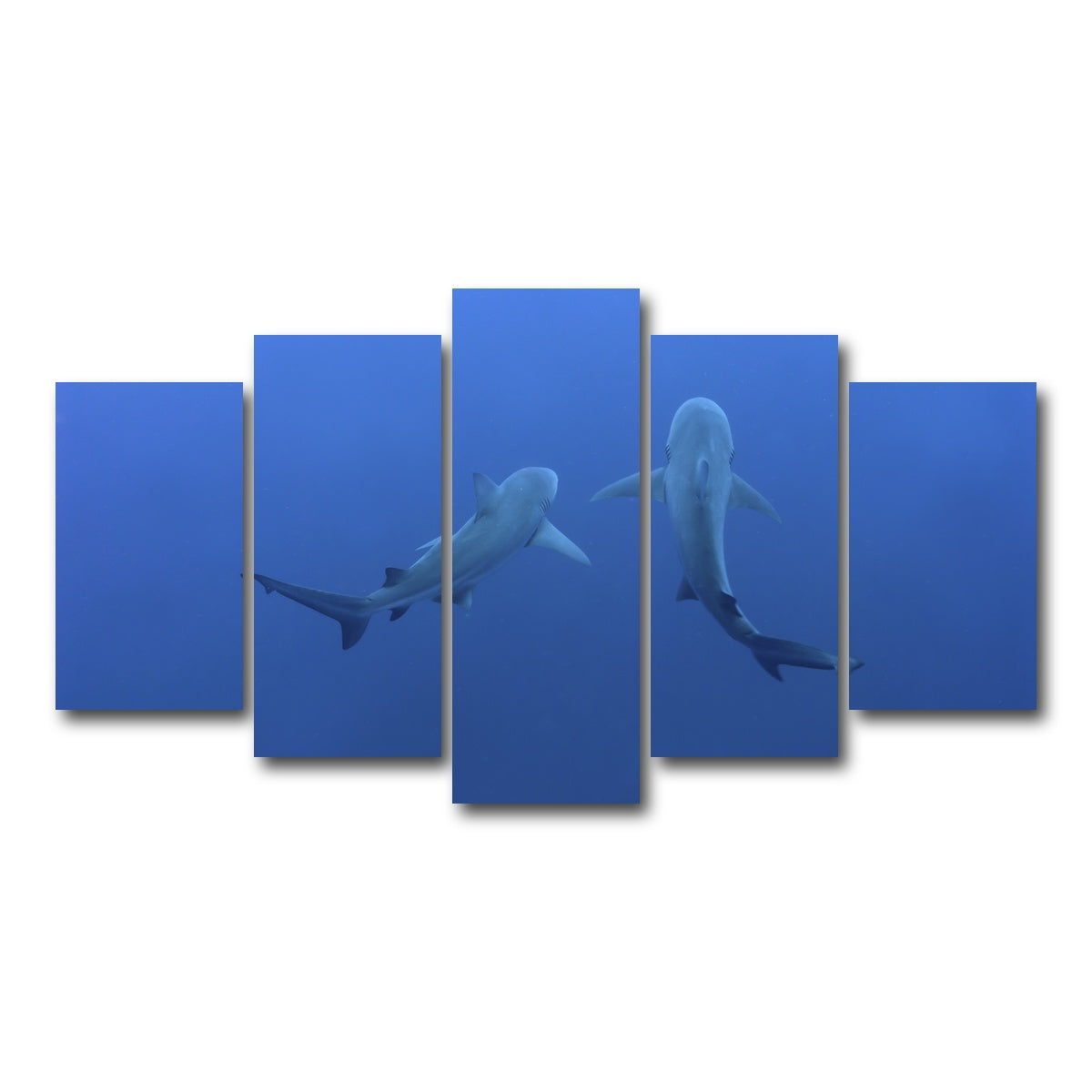 AUTO-MOCKUP WHITE | Shark mates | 5 Piece | Gallery Wrap Canvas | group=5_normal