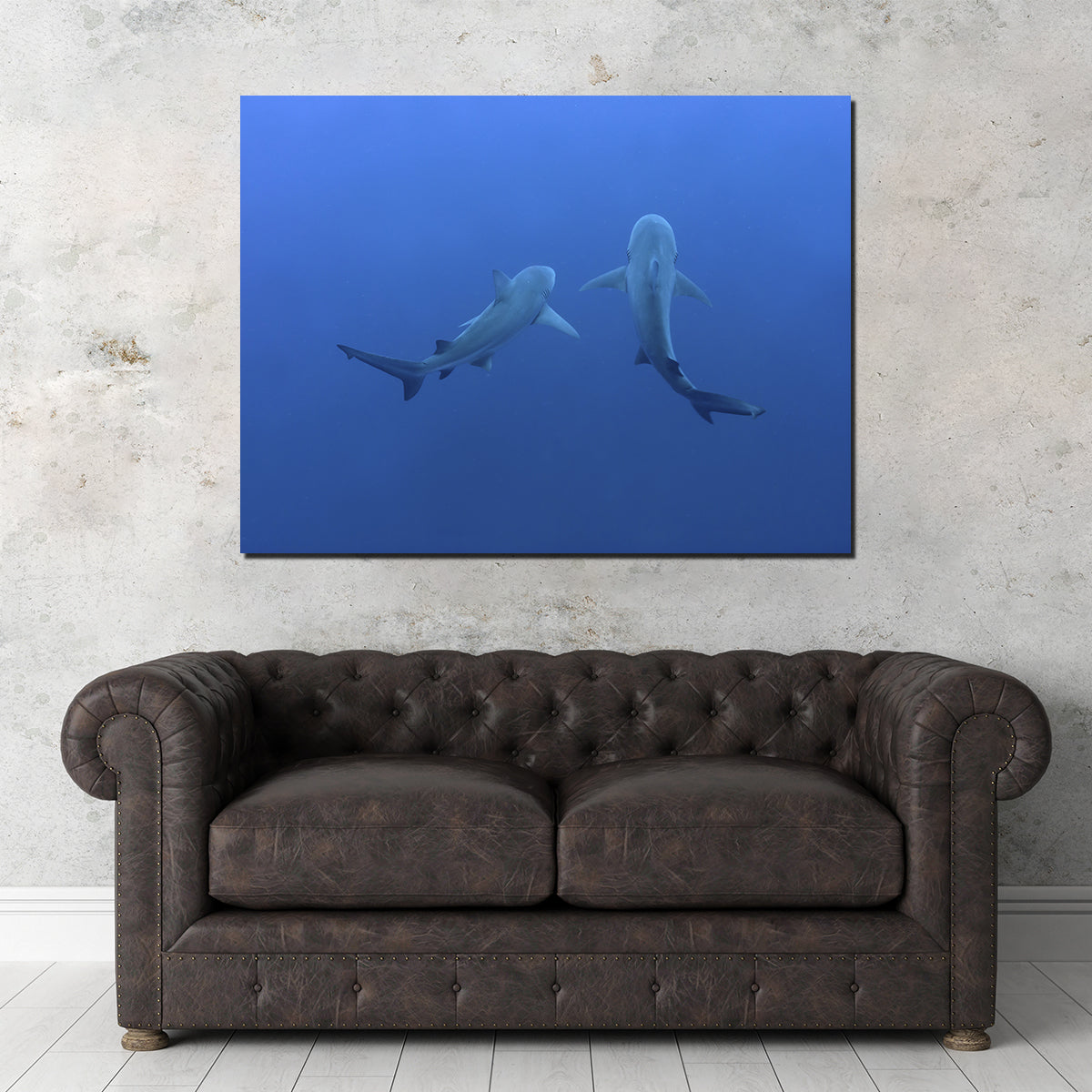 Shark Mates Wall Art