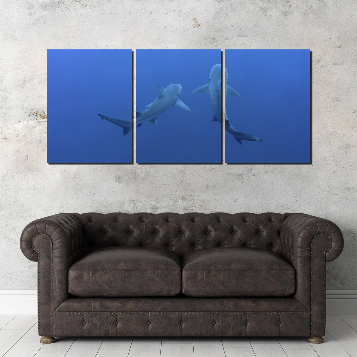 Shark Mates Wall Art