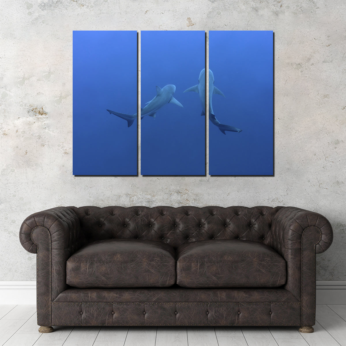 Shark Mates Wall Art