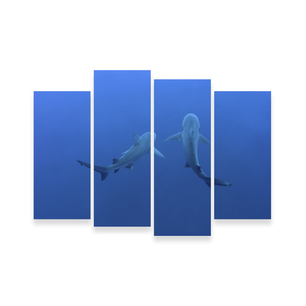 Shark Mates Wall Art