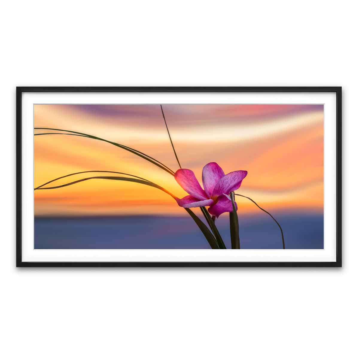 Framed Print 2x1 Black