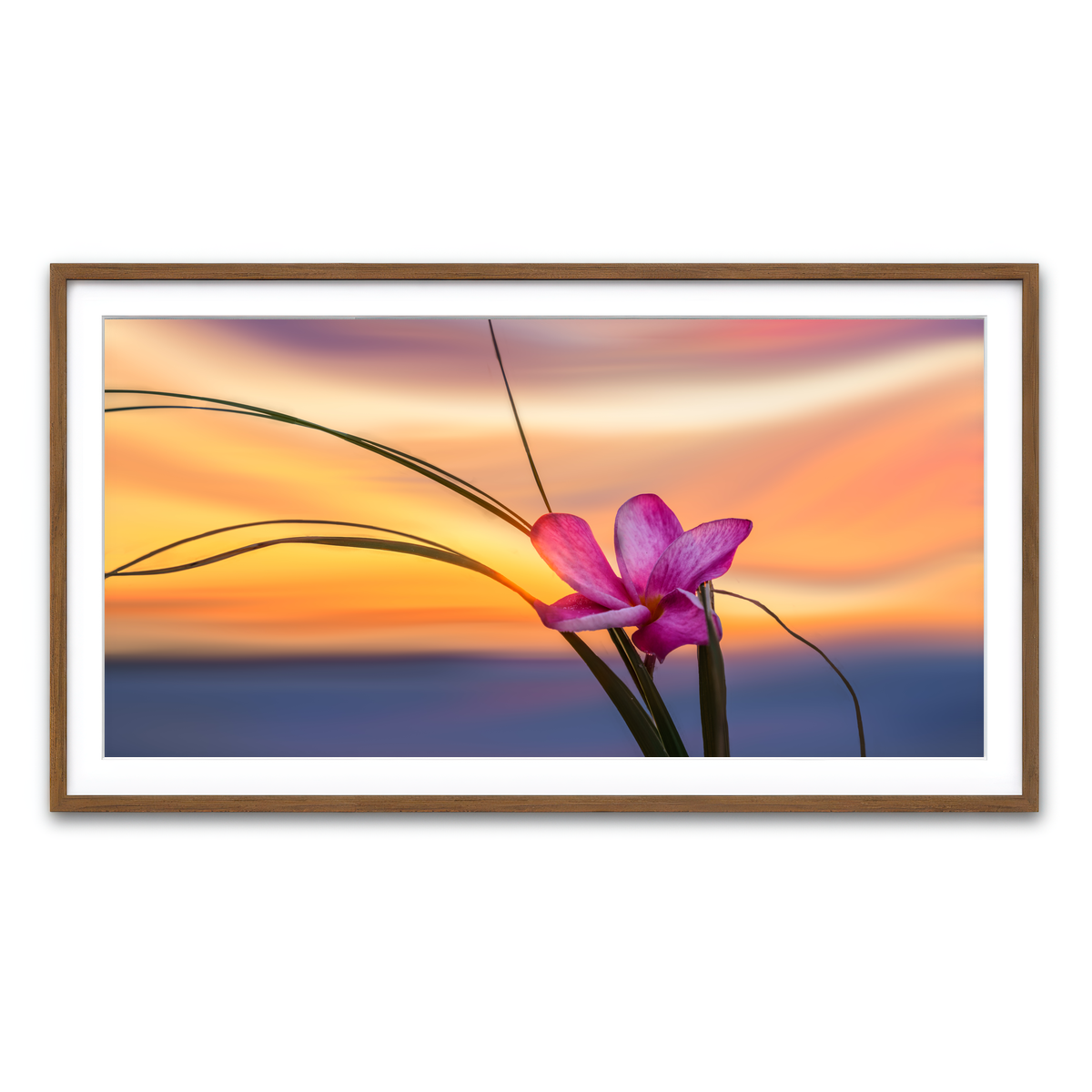 Framed Print 2x1 Walnut