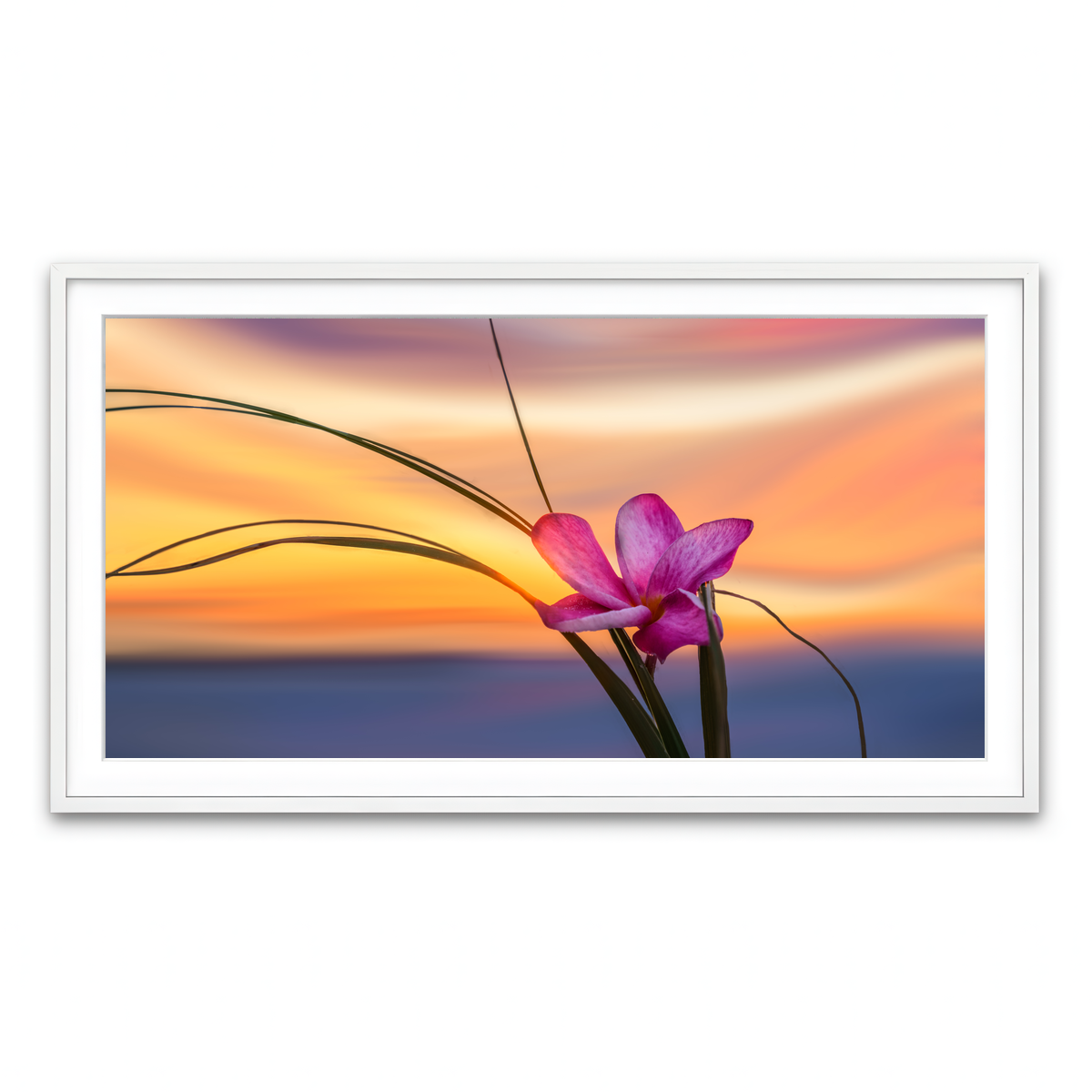 Framed Print 2x1 White