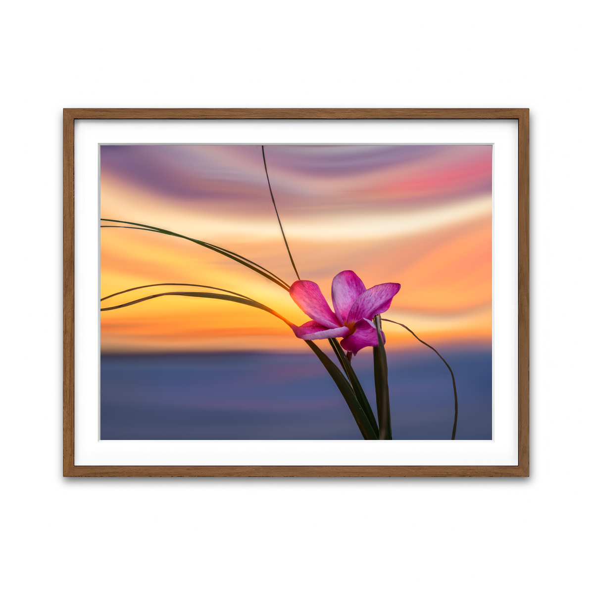 Framed Print 4x3 Walnut