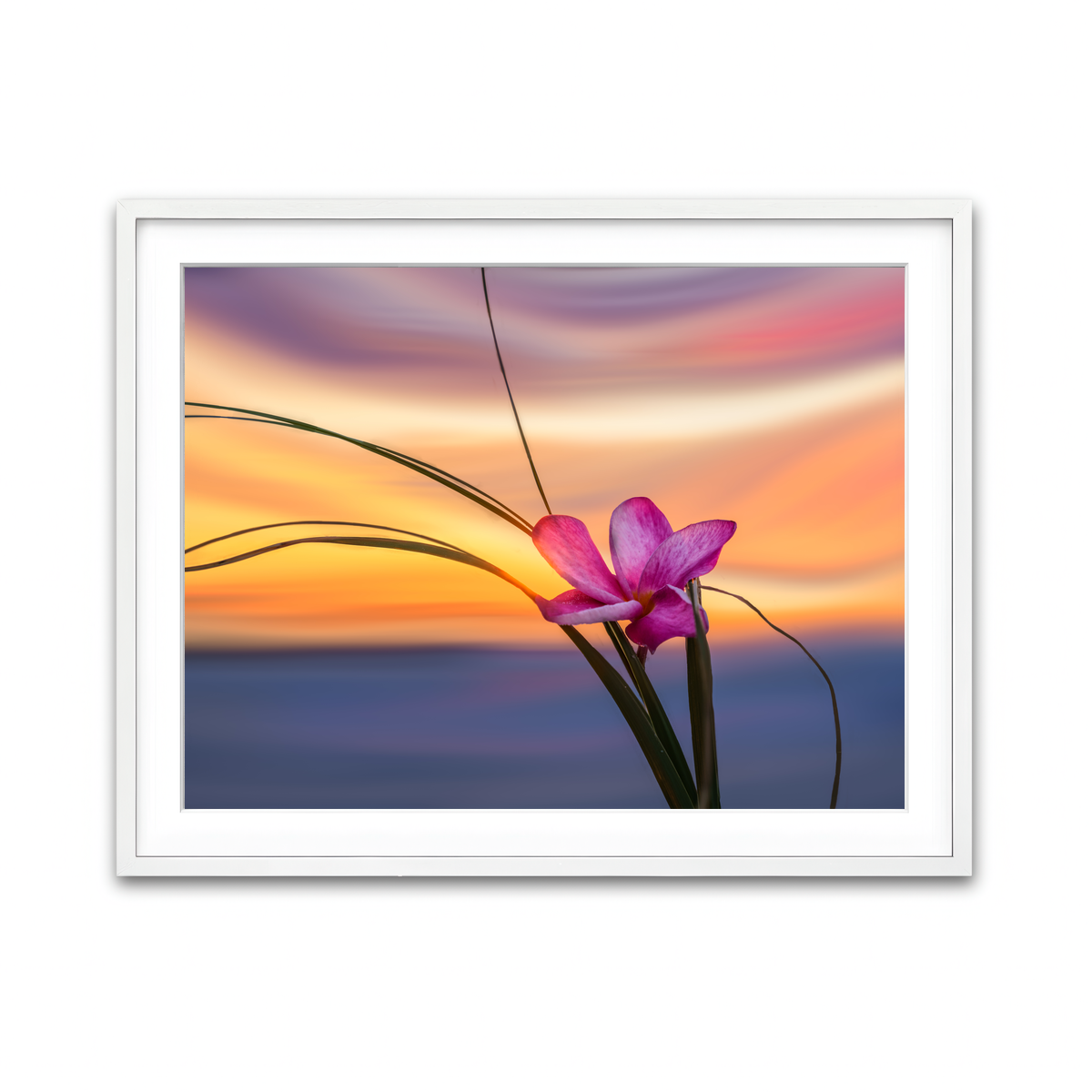 Framed Print 4x3 White