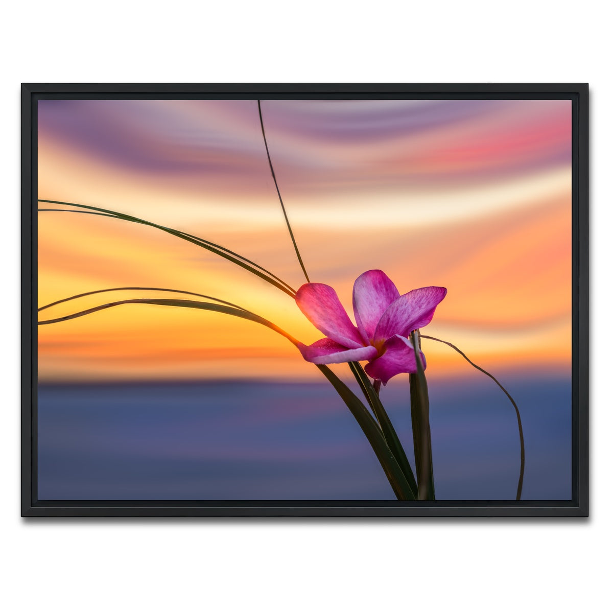 AUTO-MOCKUP WHITE | She Loves Me | 1 Piece | Black Framed Canvas | group=4x3