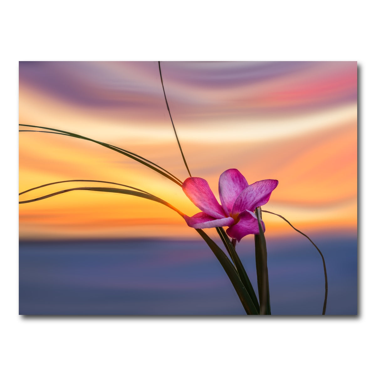 AUTO-MOCKUP WHITE | She Loves Me | 1 Piece | Gallery Wrap Canvas | group=4x3