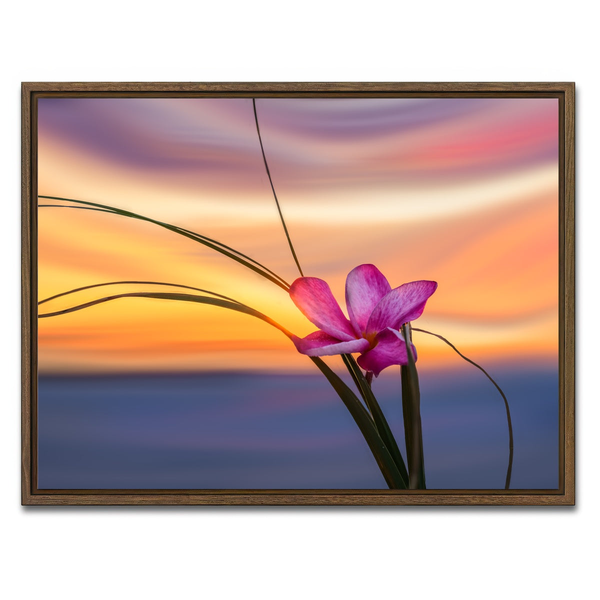 AUTO-MOCKUP WHITE | She Loves Me | 1 Piece | Walnut Framed Canvas | group=4x3