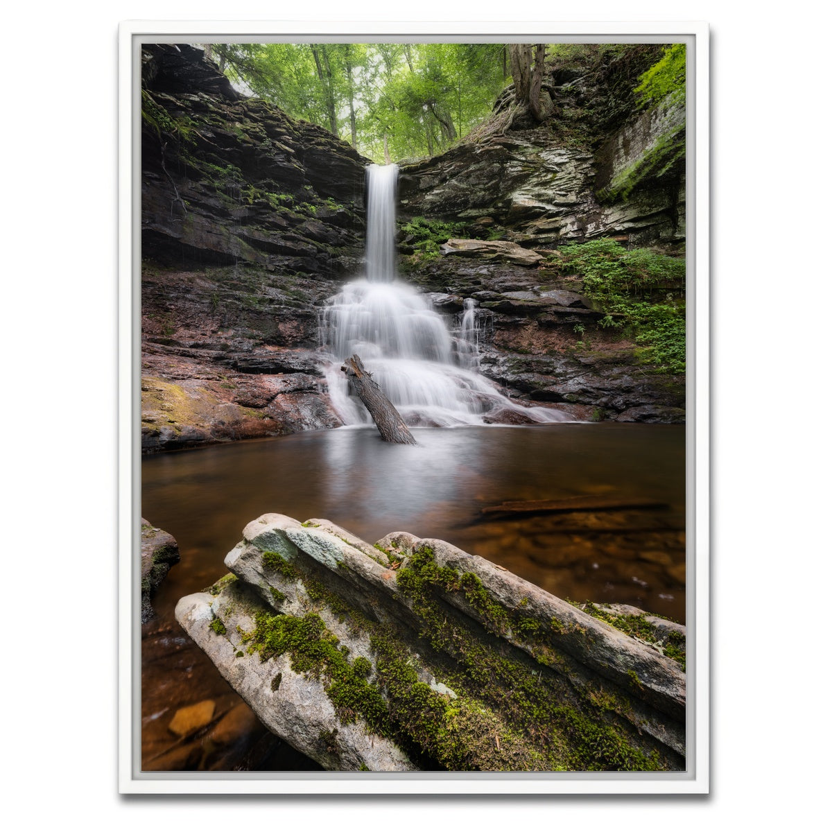 AUTO-MOCKUP WHITE | Sheldon Reynolds Falls | 1 Piece | White Framed Canvas | group=3x4
