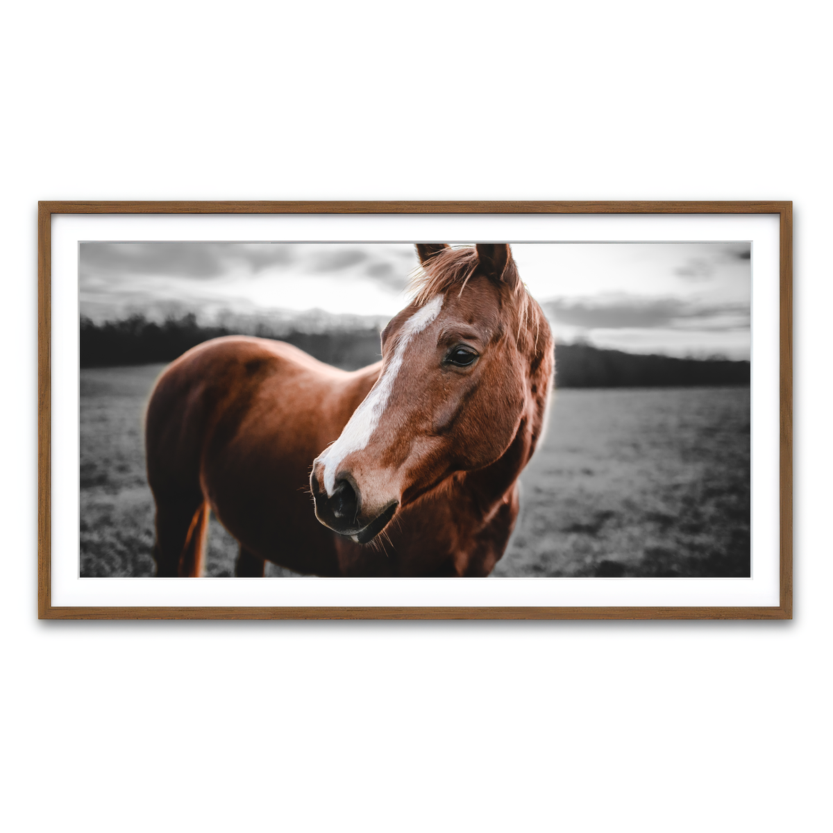Framed Print 2x1 Walnut