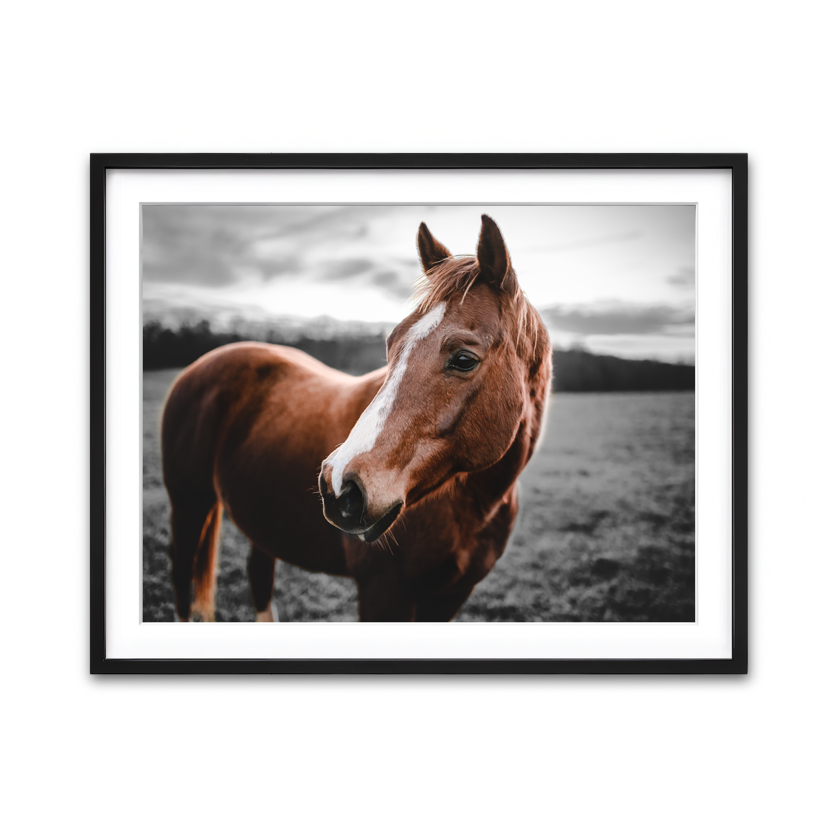Framed Print 4x3 Black