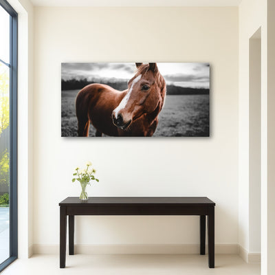 AUTO-MOCKUP ROOM | Shining Horse
