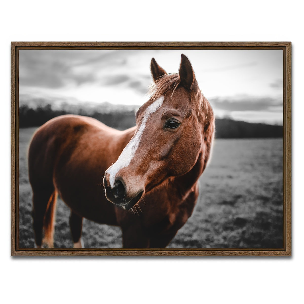 AUTO-MOCKUP WHITE | Shining Horse | 1 Piece | Walnut Framed Canvas | group=4x3