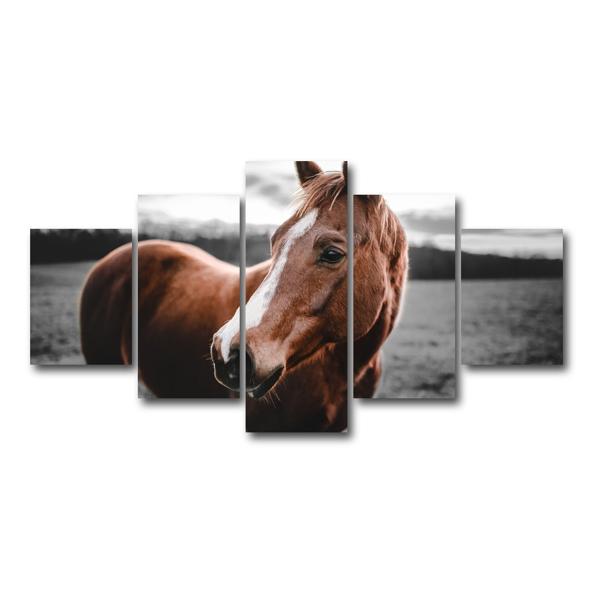 AUTO-MOCKUP WHITE | Shining Horse | 5 Piece | Gallery Wrap Canvas | group=5_short