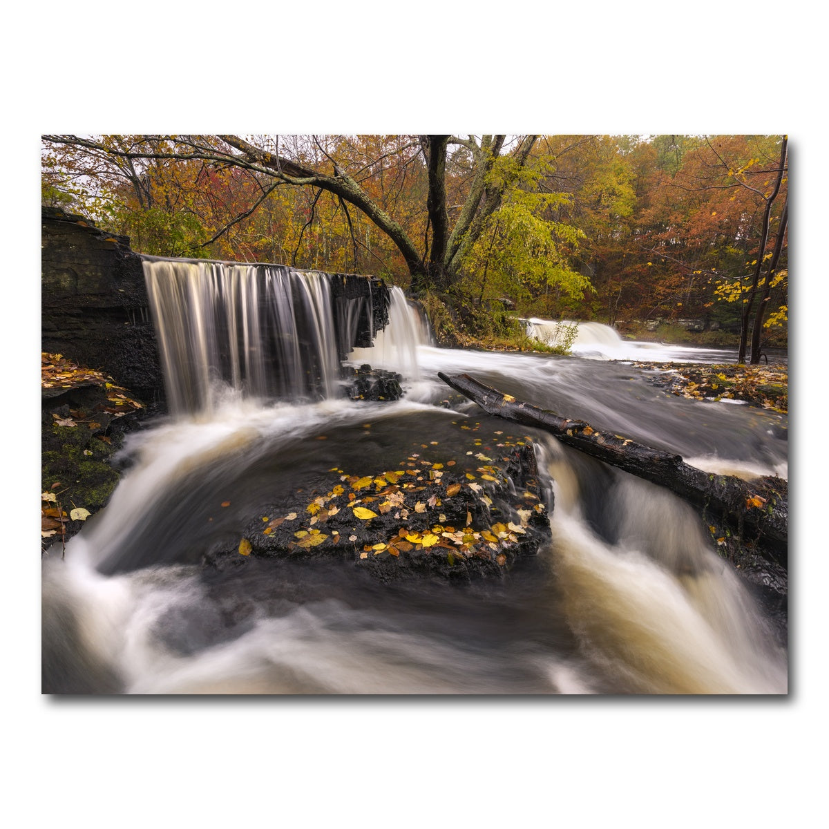 AUTO-MOCKUP WHITE | Side Stepping | 1 Piece | Gallery Wrap Canvas | group=4x3