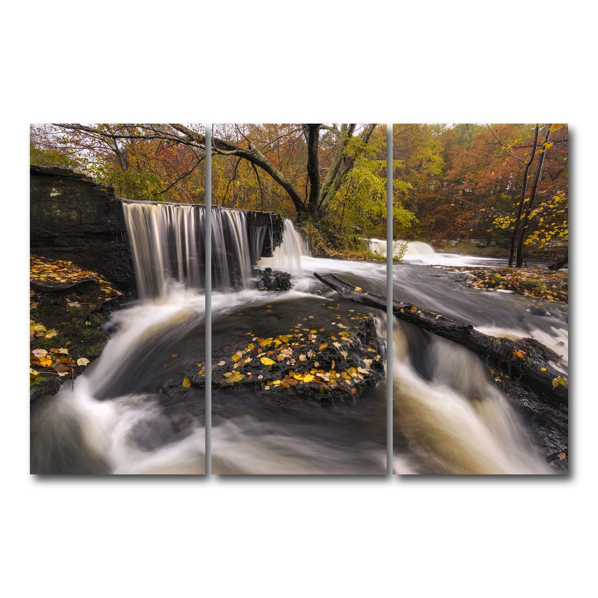 AUTO-MOCKUP WHITE | Side Stepping | 3 Piece | Gallery Wrap Canvas | group=12x24