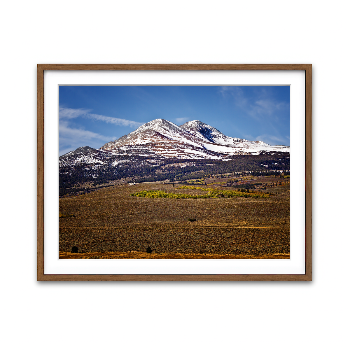 Framed Print 4x3 Walnut