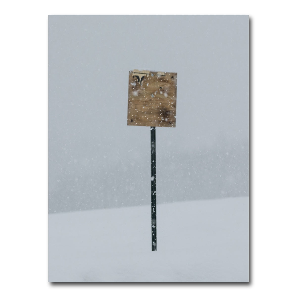 AUTO-MOCKUP WHITE | Sign of the Times | 1 Piece | Gallery Wrap Canvas | group=3x4