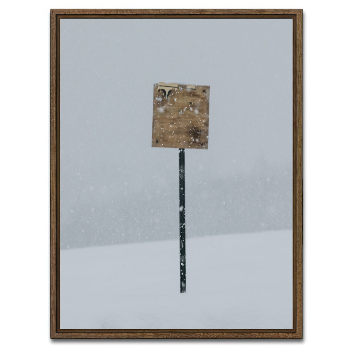 AUTO-MOCKUP WHITE | Sign of the Times | 1 Piece | Walnut Framed Canvas | group=3x4