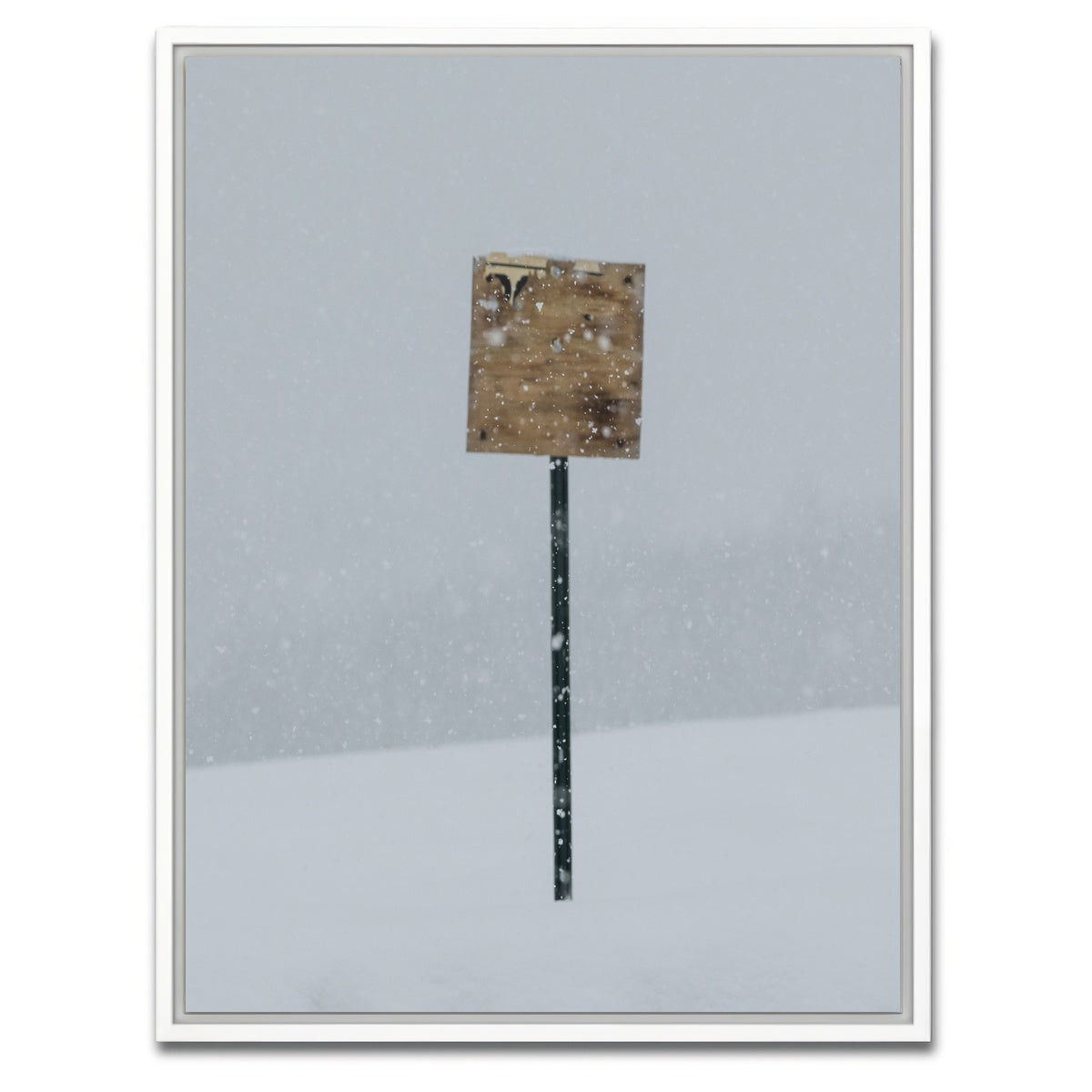 AUTO-MOCKUP WHITE | Sign of the Times | 1 Piece | White Framed Canvas | group=3x4