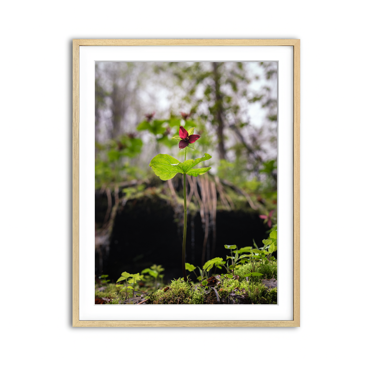 Framed Print 3x4 Natural