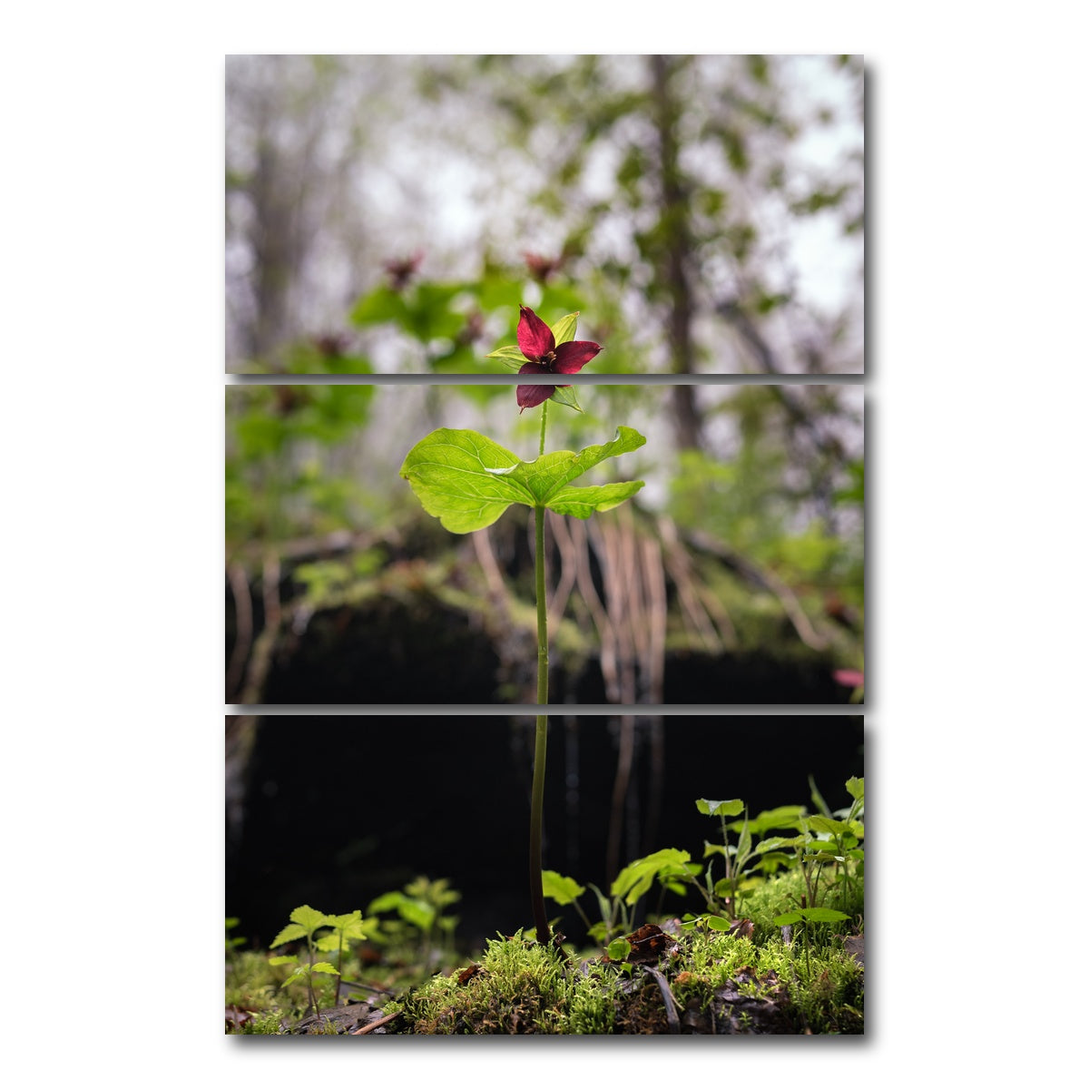 AUTO-MOCKUP WHITE | Simple Scene | 3 Piece | Gallery Wrap Canvas | group=12x24_stacked