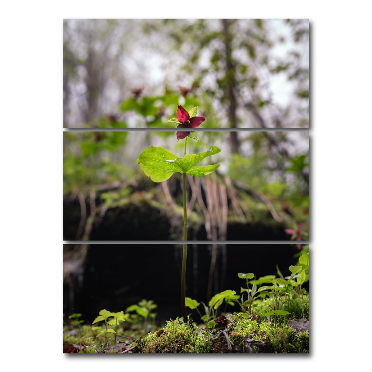 AUTO-MOCKUP WHITE | Simple Scene | 3 Piece | Gallery Wrap Canvas | group=8x18_stacked