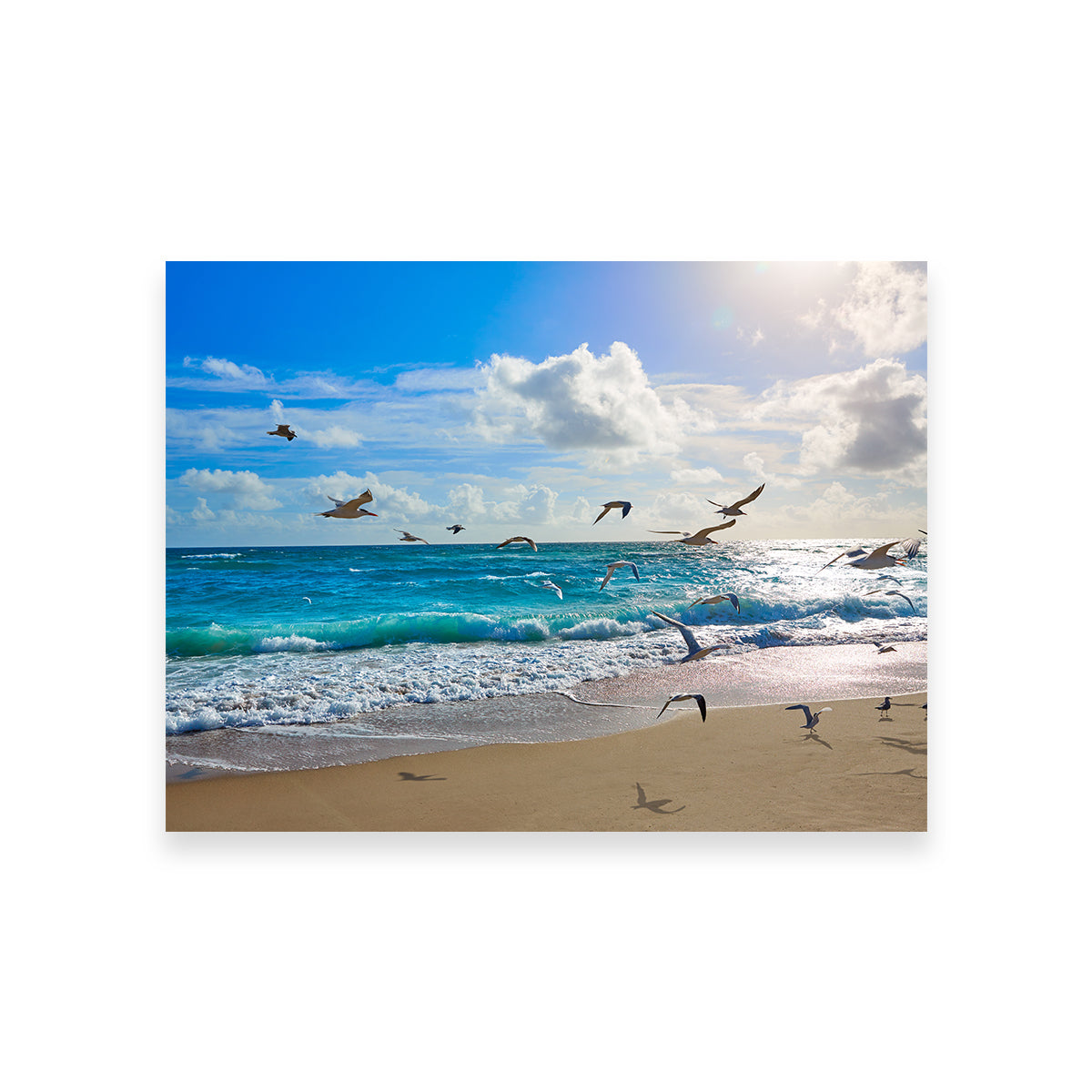 Singer Island Beach Seagulls Wall Art