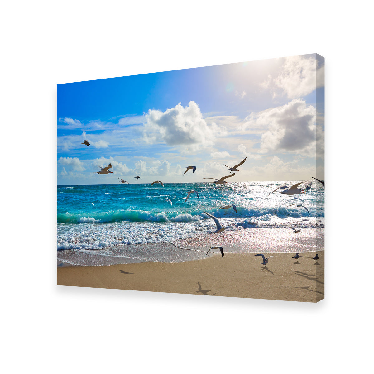 Singer Island Beach Seagulls Wall Art