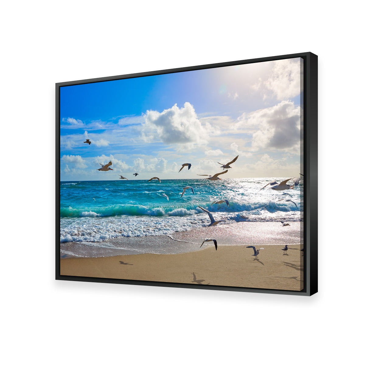 Singer Island Beach Seagulls Wall Art