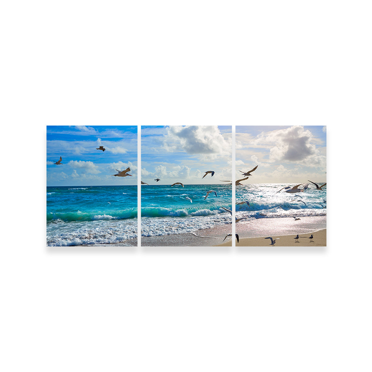 Singer Island Beach Seagulls Wall Art