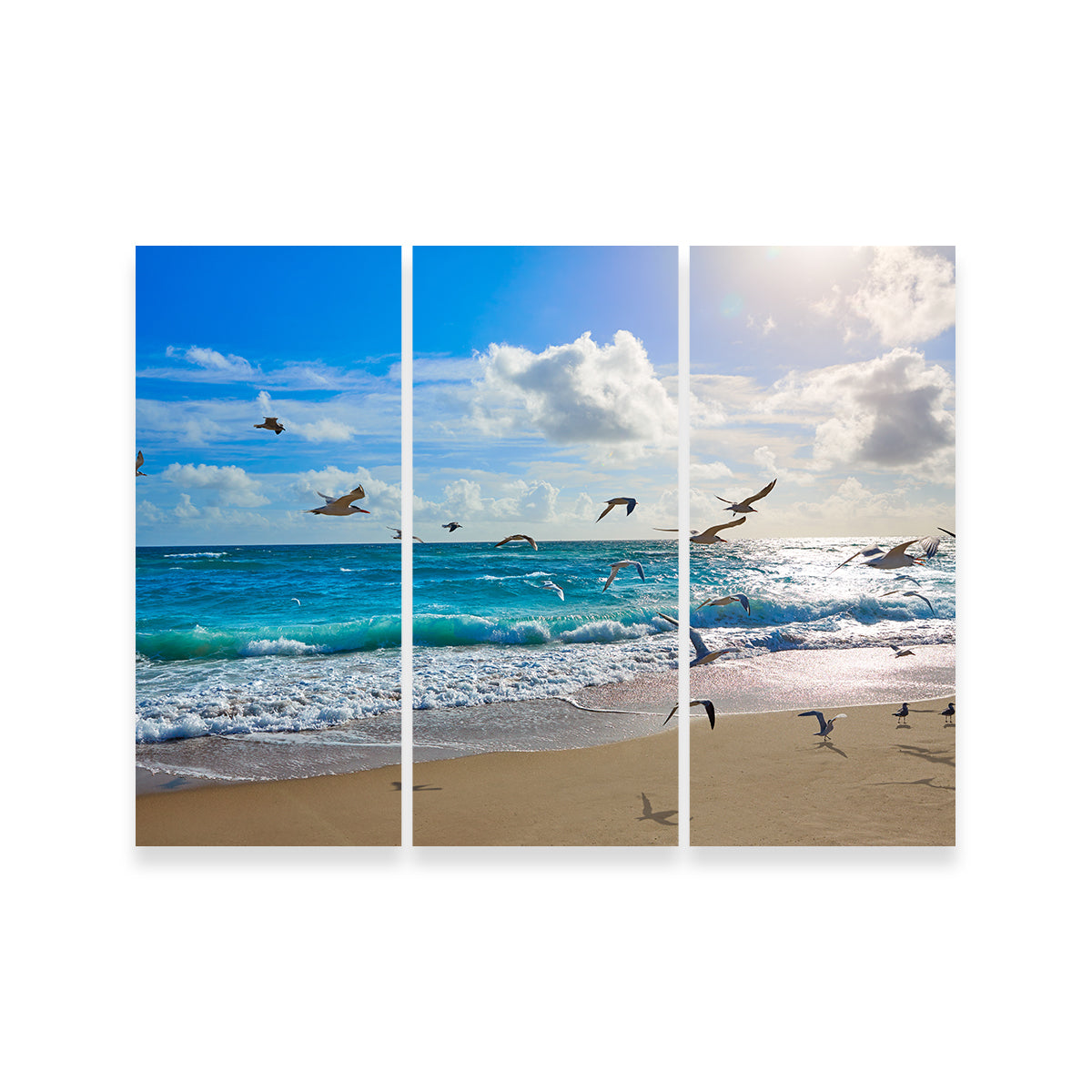 Singer Island Beach Seagulls Wall Art