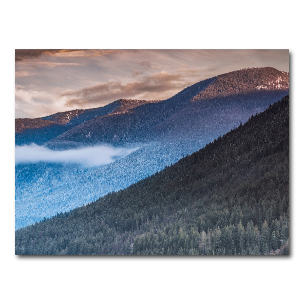 AUTO-MOCKUP WHITE | Sloping Trees | 1 Piece | Gallery Wrap Canvas | group=4x3